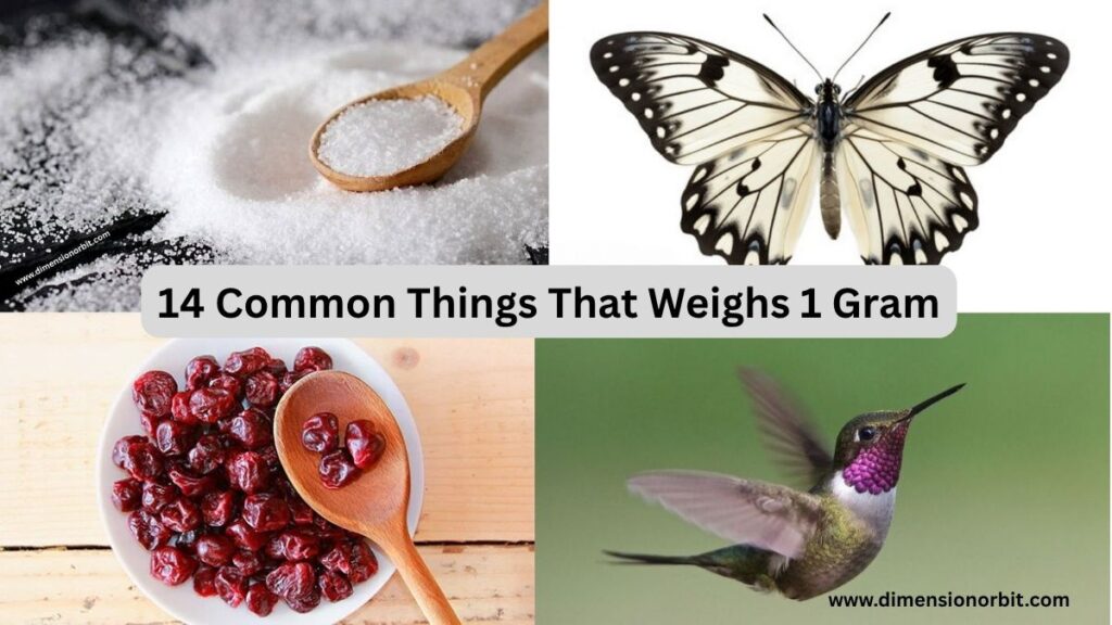 14 Common Things That Weighs 1 Gram