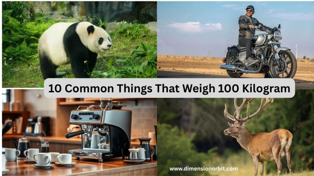 10 Common Things That Weigh 100 Kilogram