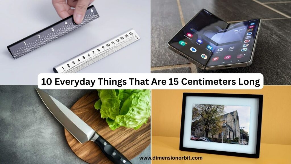 10 Everyday Things That Are 15 Centimeter Long