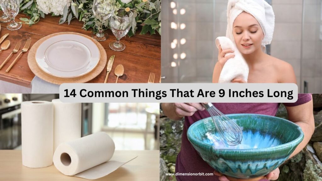 14 Common Things That Are 9 Inch Long