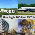 How big Is 100 Feet 15 Things?