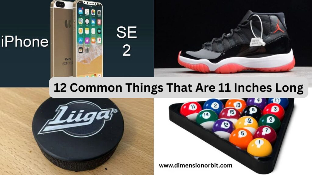 12 Common Things That Are 11 Inches Long