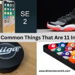12 Common Things That Are 11 Inches Long