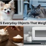 15 Everyday Objects That Weigh 10 lbs