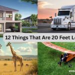 12 Things That Are 20 Feet Long