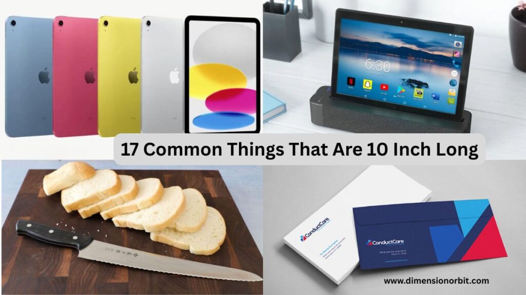 17 Common Things That Are 10 Inch Long