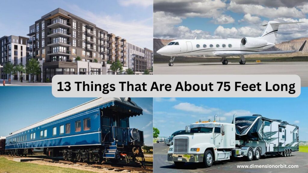 13 Things That Are About 75 Feet Long
