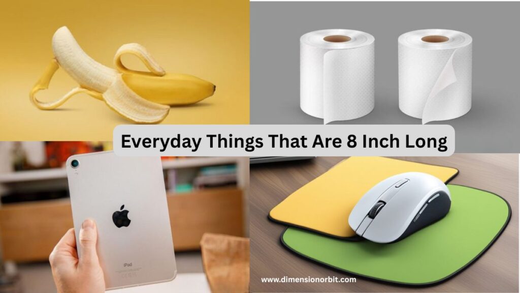 Everyday Things That Are 8 Inch Long