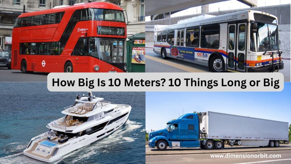 How Big Is 10 Meters? 10 Things Long or Big