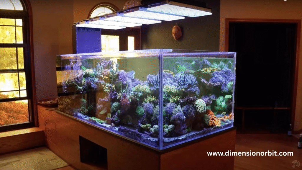 30 Kilograms (kg) Large Aquarium (Water + Tank)