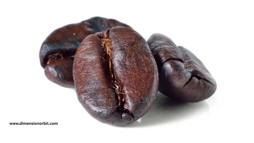 Single Coffee Bean