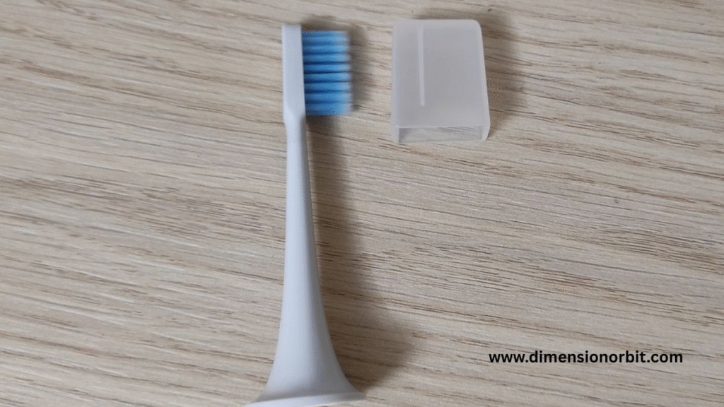 Toothbrush Head