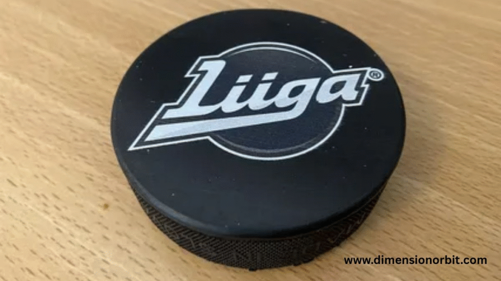 11 inches Eleven Hockey Pucks