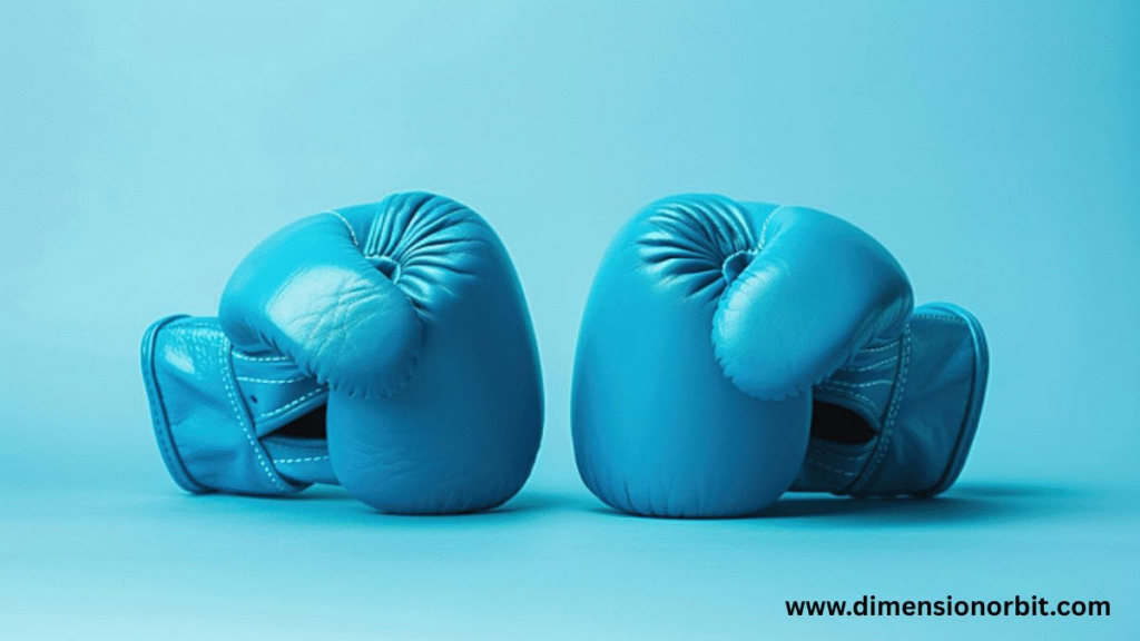A Pair of Boxing Gloves
