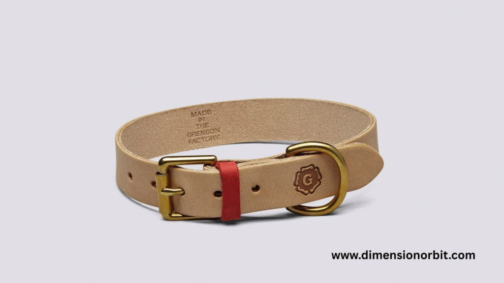 Medium Dog Collar