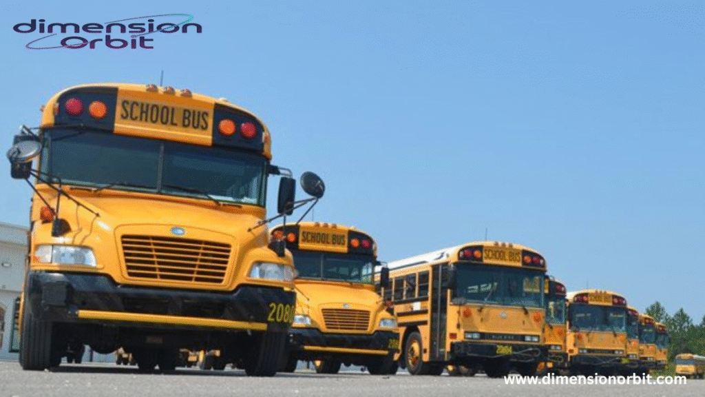 Full Sized School Buses