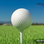 How Big Is 5 cm? 12 Common Things