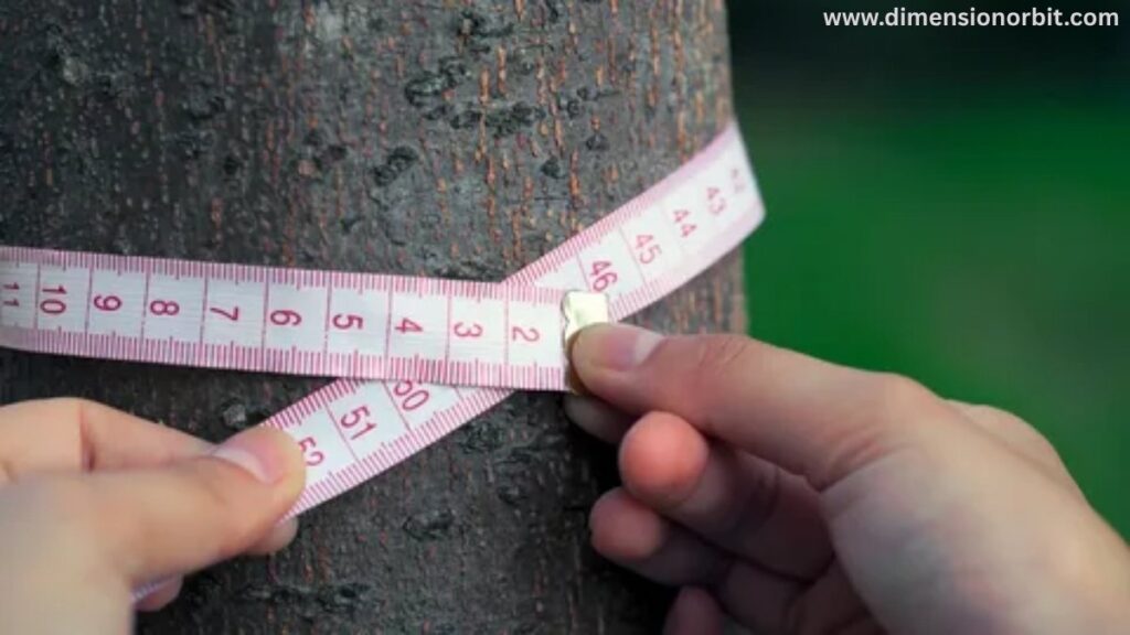Height for Measuring Tree Diameter