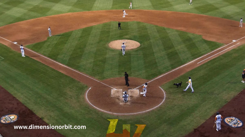 How Long Is 90 Feet? 9 Things That Measure About 90 Feet