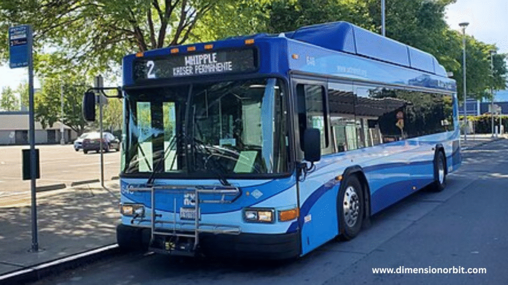 Two City Transit Buses
