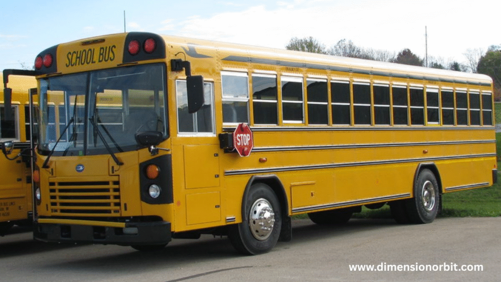 Standard School Buses