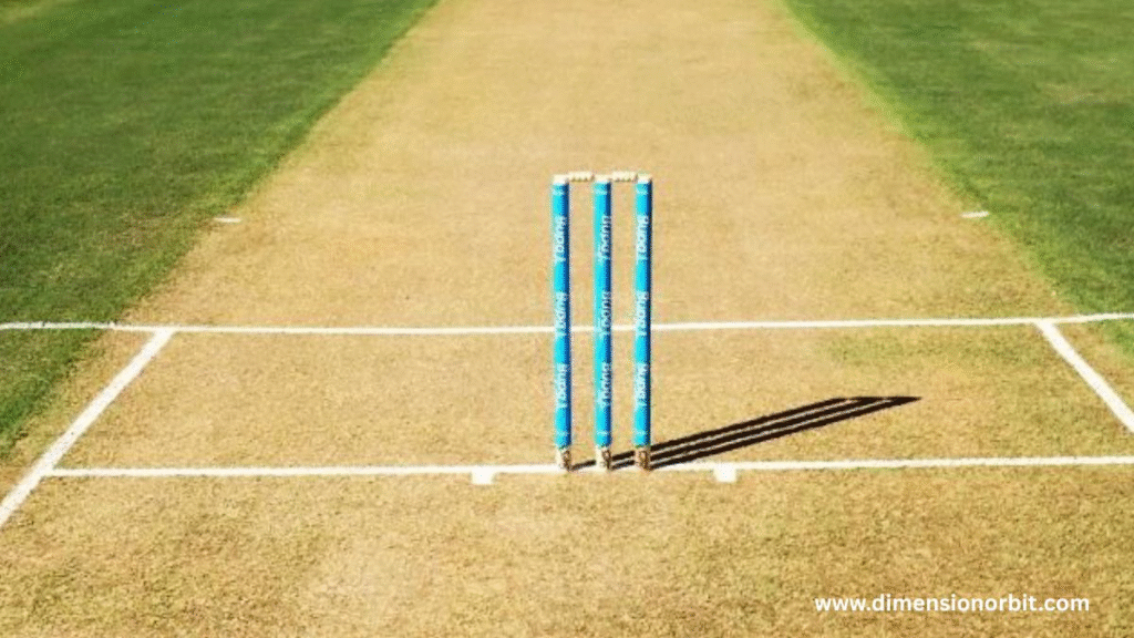 Half a Cricket Pitch