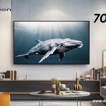 70 Inch TV Width Height